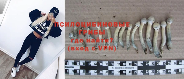 прущие крисы Алзамай