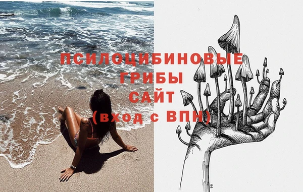 прущие крисы Алзамай