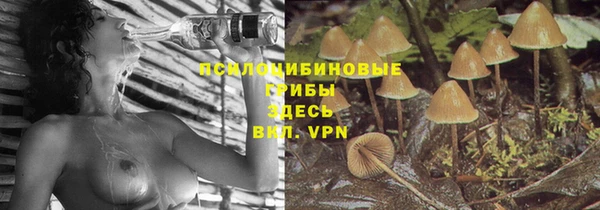 бутират Алексеевка